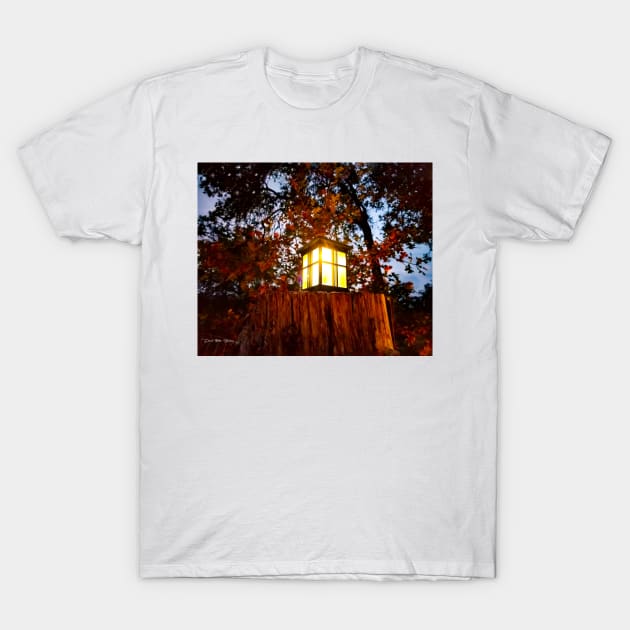 Bring The Light - Remastered T-Shirt by davidbstudios